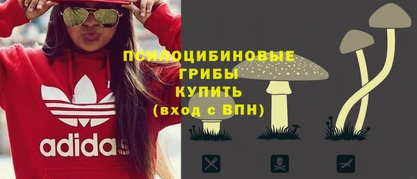 прущие грибы Нязепетровск