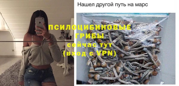 apvp Белоозёрский