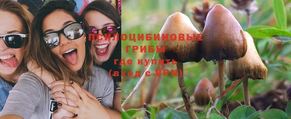 не бодяженный Няндома