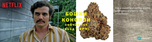 apvp Белоозёрский