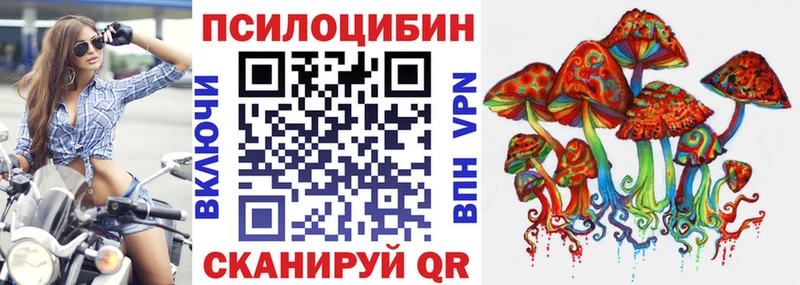 Галлюциногенные грибы Cubensis  Сланцы 